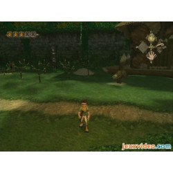 WII Pitfall La Grande Aventure Cib