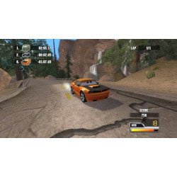 PS2 Disney Cars Race-O-Rama Cib
