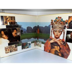 Laserdisc cdv Indochine vf