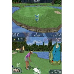 DS Tiger Woods Pga Tour 08 Cib