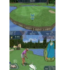 DS Tiger Woods Pga Tour 08 Cib