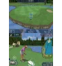 DS Tiger Woods Pga Tour 08 Cib