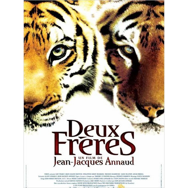 DVD Deux Frères