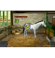 Game boy Advance Alexandra Ledermann Aventure Galop Loose