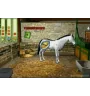 Game boy Advance Alexandra Ledermann Aventure Galop Loose