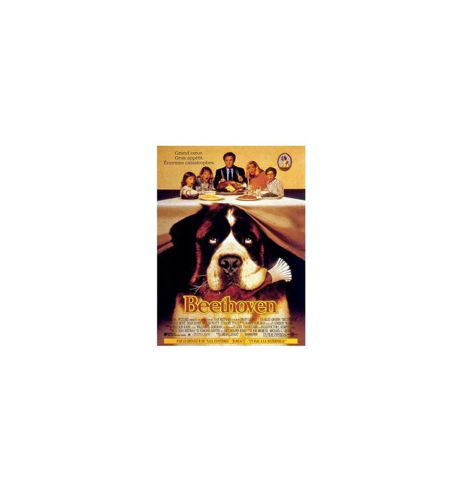 VHS Beethoven