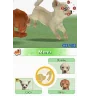 DS Nintendogs labrador (vert) Loose Eur