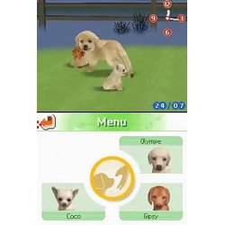 DS Nintendogs labrador (vert) Loose Eur