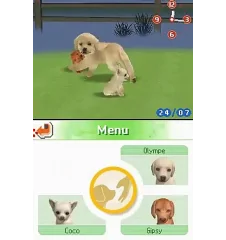 DS Nintendogs labrador (vert) Loose Eur