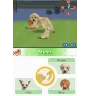DS Nintendogs labrador (vert) Loose Eur