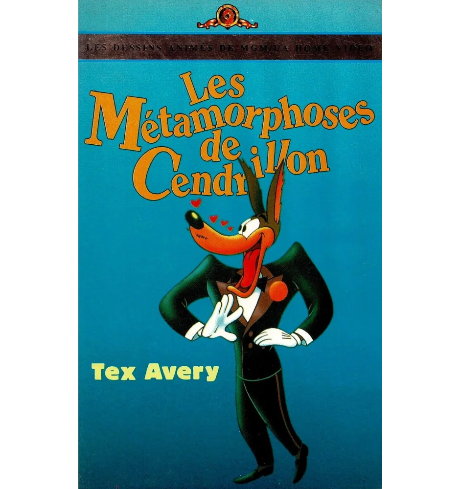 VHS les metamorphoses de Cendrillon