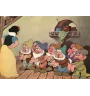 VHS Blanche Neige et les sept nains
