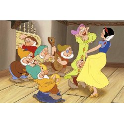 VHS Blanche Neige et les sept nains