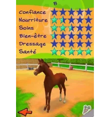 DS Alexandra ledermann 2 mon aventure au haras cib