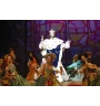 DVD Le roi soleil