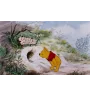 VHS Winnie l'ourson