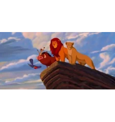 VHS le roi lion