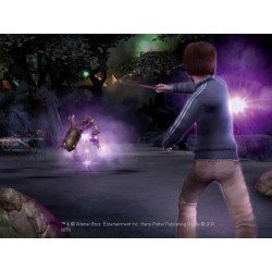 PS2 Harry Potter et la coupe de feu cib