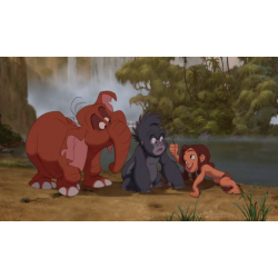 VHS Tarzan