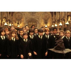 VHS Harry Potter l'école des sorciers