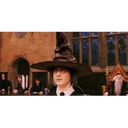 VHS Harry Potter l'école des sorciers