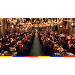 VHS Harry Potter l'école des sorciers