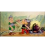 VHS Asterix et le coup du Menhir