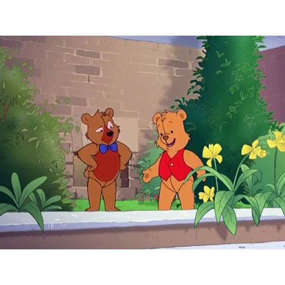 DVD L'ours Benjamin Le Grand Livre Des Ours