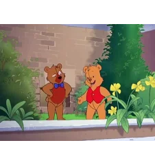 DVD L'ours Benjamin Le Grand Livre Des Ours