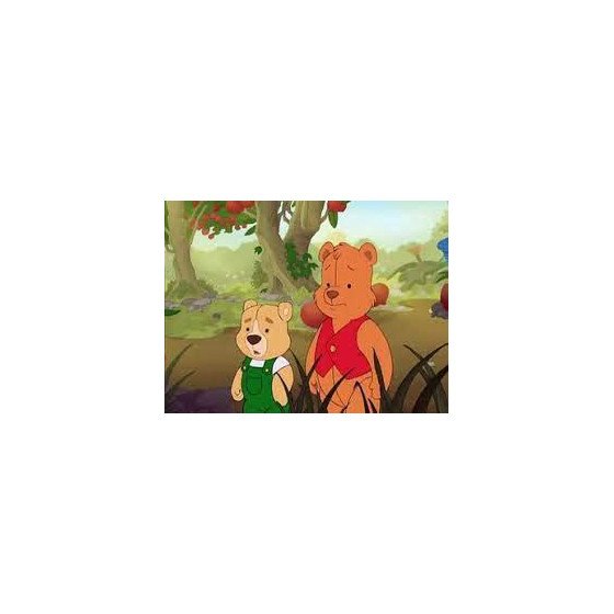 DVD L'ours Benjamin Le Grand Livre Des Ours