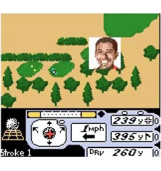 Game Boy Tiger Woods Pga Tour 2000 Loose Eur