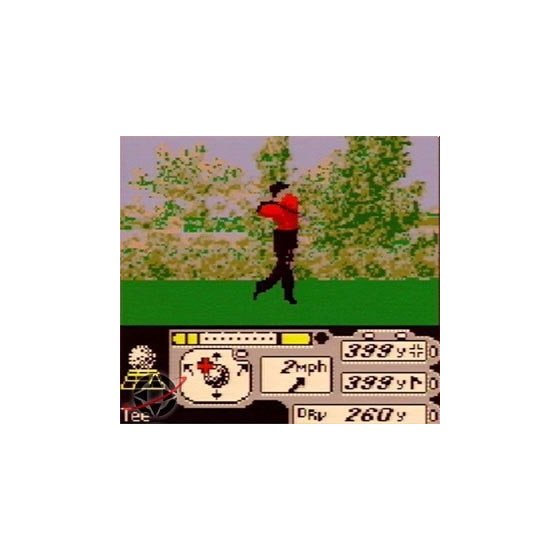 Game Boy Tiger Woods Pga Tour 2000 Loose Eur