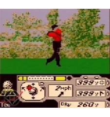 Game Boy Tiger Woods Pga Tour 2000 Loose Eur
