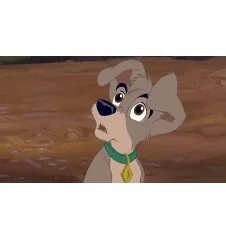 VHS La Belle Et Le Clochard 2 l'appel de la rue