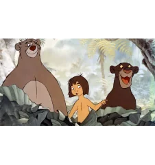 VHS Le Livre De La Jungle