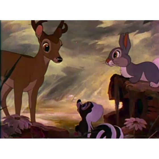 VHS Bambi