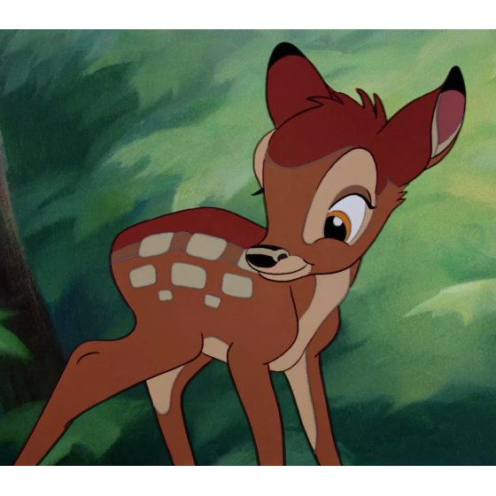 VHS Bambi