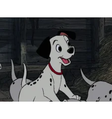 VHS Les 101 Dalmatiens