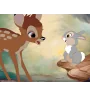 VHS Bambi