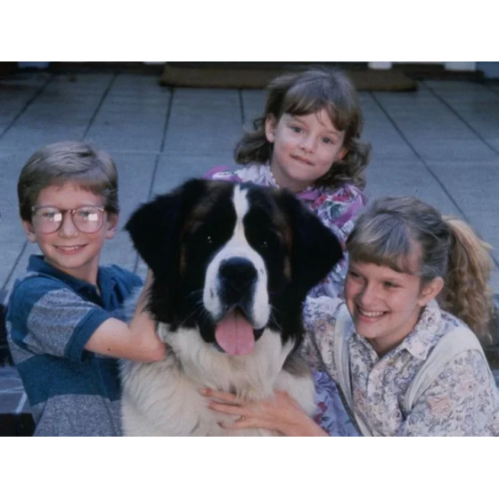 VHS Beethoven