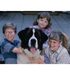 VHS Beethoven