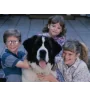 VHS Beethoven