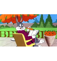 VHS Bugs Bunny quoi de neuf docteur