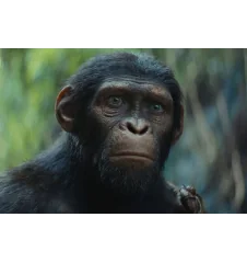 VHS La Planete Des singes