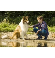 VHS Lassie