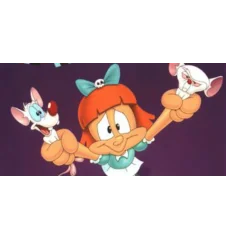 VHS Le Bal de fin d'année Tiny Toon