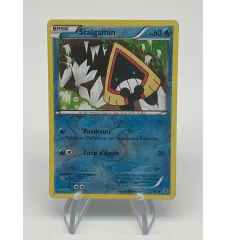 Stalgamin 21/101 Reverse
