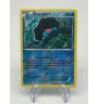 Coquiperl 49/160 Reverse