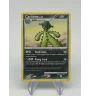 Cacturne 34/106