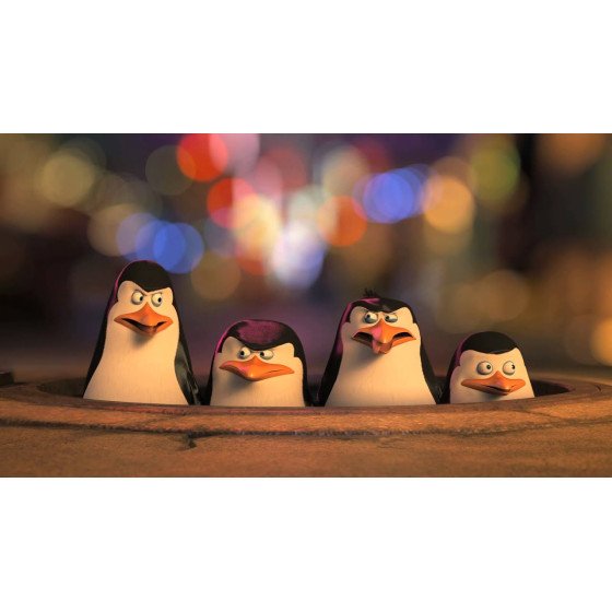 DVD Les Pingouins de Madagascar
